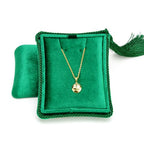 TAIMY Necklace Boxes, Velvet Small Earring and Necklace Case for Women with Tassel, Empty Long Necklace Pendant Box for Her(Green) - color: Green