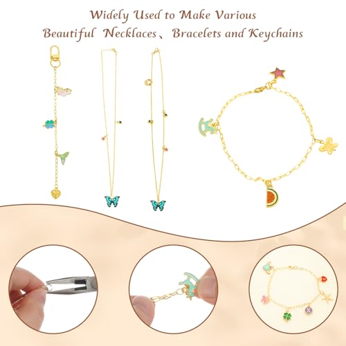 304Pcs Charms Keychain Making Kit for Teens & Adults, Complete Jewelry Making Supplies with Pliers, Key Rings, Charm & Extender Chain, DIY Starter Craft Kit for Girls, Birthday Christmas Gift Ideas