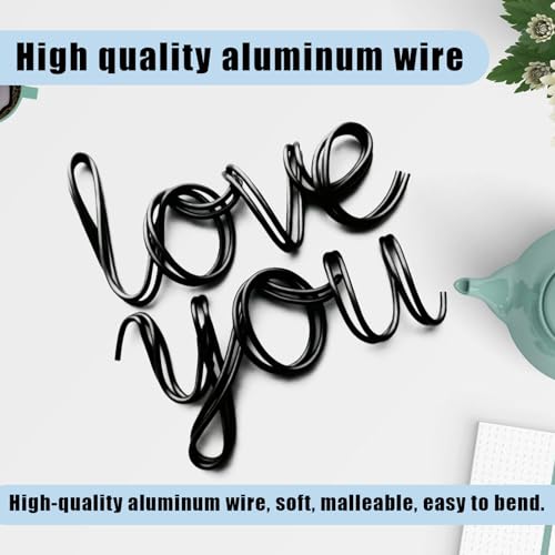 Aluminum Craft Wire,165 Feet 18 Gauge Aluminum Wire for Crafting/Jewelry Making/Floral Making/Sculpting, 1mm Bendable Metal Wires for Model Making/Picture Hanging/Handmade Beading etc(Black) - color: Black