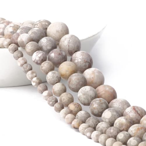 Stone Beads, 45pcs Matte Flowery Cowry Fossil, 8mm Round Loose Beads for Jewelry Making, Bracelets, with Bag, String & Card - color: Matte Flowery Cowry Fossil, size: 8mm