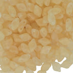 GemDuo Beads, 2-Hole Diamond Shaped Czech Glass Beads 5x8mm 10 Grams Frozen Matte Cream