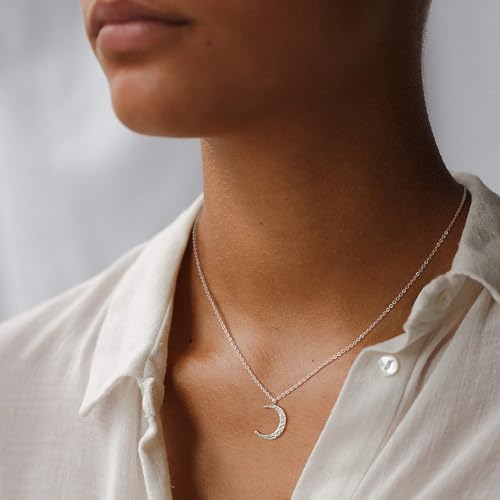 Valloey Rover Gold Necklace for Women 14K Gold Plated Circle Cubic Zirconia Pendant Necklace Dainty Twist Rope Chain Necklace Simple Jewelry Gift for Women - style: Sliver-CMoon