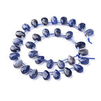 Craftdady 30Pcs Faceted Teardrop Natural Sodalite Stone Beads Top Drilled Drop Gemstone Loose Beads Energy Healing Crystal Stone 12-13x8.5mm for Jewelry Craft Necklace Bracelet Earring Making - color: Sodalite