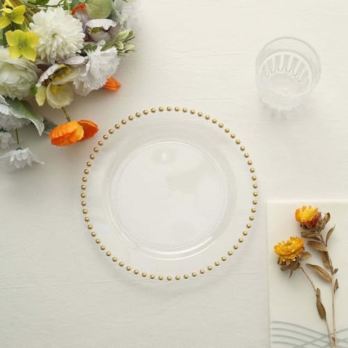 10" Dinner Plates - Set of 10 - Plastic Clear Gold Round Disposable Plate Beaded Rim, Ideal for Decoration Party Wedding Bulk Events - color: Clear/Gold, size: 10" Dinner Plate, 10 Pack