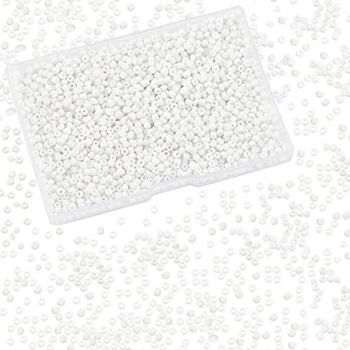 PH PandaHall White Seed Beads, 2000 Pcs 3mm 8/0 Glass Seed Beads Round Small Pony Bead Waist Beads Mini Spacer Beads for Earring Bracelet Necklace Anklet Jewelry DIY Craft Making - color: White-2000 Pcs