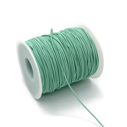 1mm Elastic Cord for Bracelets Necklaces, Cakasi 110 Yards Sturdy Stretchy Elastic Cord for Jewelry Making, Necklaces, Beading - Light Blue - color: Light Blue