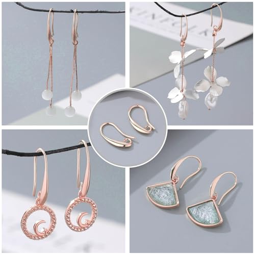 Rose Gold Plated Earring Hooks, 230PCS Earring Findings with Earring Backs for Jewelry Making Hypoallergenic Ear Wires Fish Hook for DIY Earrings Bulk Pack - color: Rose Gold-Big Earing Hooks