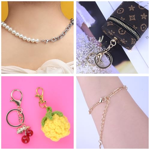 Prdingfy 579PCS Keychain Making Kit, Key Chain Supplies Including Keychain Clip, Key Rings, Lobster Claw Clasps, Jump Rings, Extender Chain,Pliers for Key Chain Making and Jewelry Making(Gold&Silver) - color: Gold-Sliver