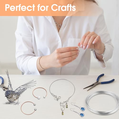 2mm Bendable Aluminum Wire, 32.8 Feet Metal Craft Wire for Sculpting, DIY Jewelry Making, Doll Making, Modelling and Bonsai Training - size: 10 M x 2 mm