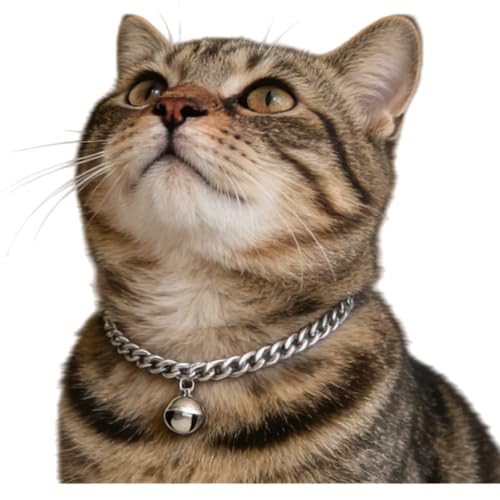 Silver Cat Chain Collar with Removable Bell,Adjustable Cuban Link Metal Necklace, Cute Pet Jewelry for Cats & Small Dogs