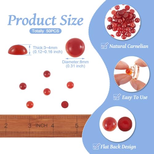 Fashewelry 50Pcs Natural Carnelian Cabochon Stone Half Round Beads 8mm Flat Back Gemstone Chakra Healing Crystal Dome Cover Cabs for Jewelry Making - color: 7-Carnelian, size: 8x4mm