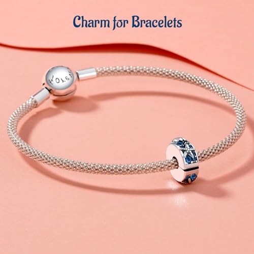 Clip Stopper Spacer Charms for Bracelets Necklaces, Compatible with Pandora,Jewery Mking DIY - style: 2PCS Shell Clip 14K Blue