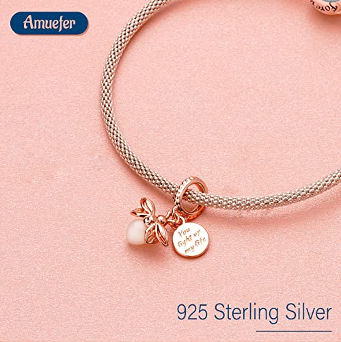 Mothers Day Birthday Number Love Family Friendship Graduation Auntie Grandma Dad Mom Charms for Pandora Bracelets Necklaces, Gifts Women, for Anniversary Valentines Christmas - style: You light uo my life Firefly 14K Rose Gold Plated