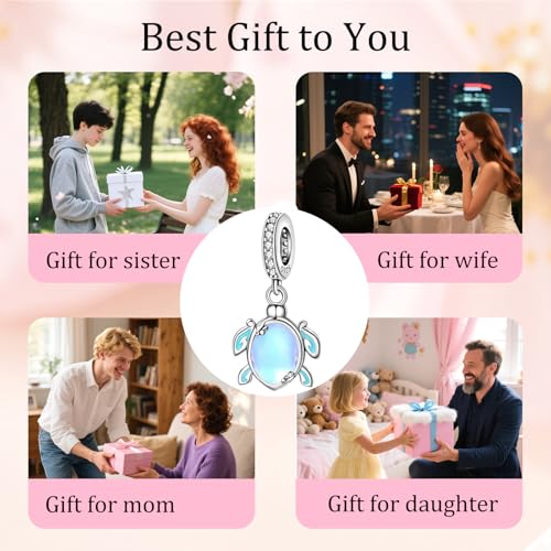 925 sterling silver Bead Charm for Pandora bracelets and Necklaces - Cute Heart Animal Ocean Pendant Bead Charms with Cubic Zirconia Mother's Day Jewelry Making DIY Gifts for Women Wife/Girlfriend - color: Sea Turtle Pendant