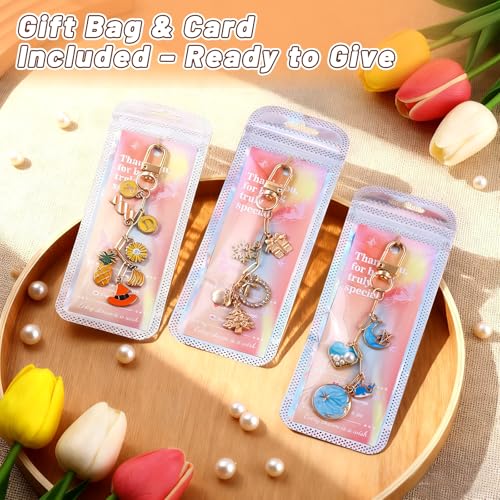 Wurosi 50 Set Paperclip Keychain Making Kit, Bag Charm Kit, 50 Keychain Clips, 50 Extender Chain, 50 Resealable Pouch Bag, 50 Thank You Cards, 5M Hemp Rope, Jewelry Making Kit for DIY Keyrings Charms - color: 50 Set Keychain Making Kit