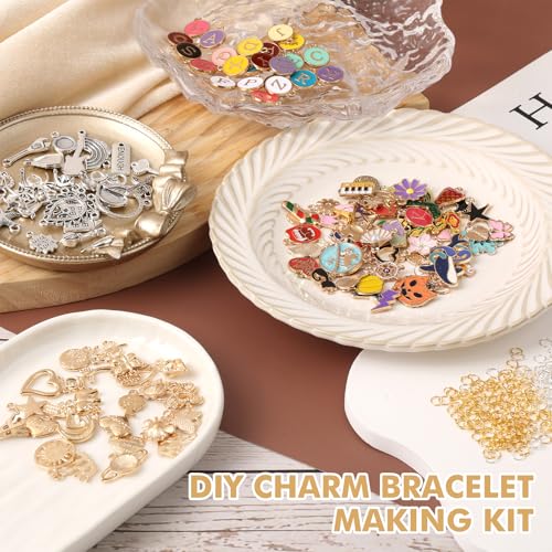 Zplontya Charm Bracelet Making Kit - 571 Pcs Jewelry Supplies with 20Pcs Bracelet Chains, Storage Box & Gift Bags, DIY Bracelet Kit for Jewelry Making, Gold & Silver Charms for Crafting - color: Gold and Sliver