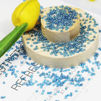 Lake Blue Seed Beads200 Grams About 6500pcs, 3mm 8/0 Glass Craft Beads for Making Earrings, Bracelets, Pendants, Waist Jewelry,DIY Handmade Seed Beads（Lake Blue Silver Lined ） - color: Lake Blue Silver Lined, size: 3mm