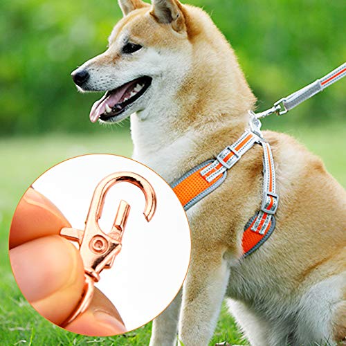50 pcs Swivel Clasps Lanyard Snap Hook,cnomg Metal Swivel Lanyard Snap Hook Lobster Claw Clasp (Rose Gold) - color: Rose Gold, size: 1.2 inches