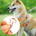 50 pcs Swivel Clasps Lanyard Snap Hook,cnomg Metal Swivel Lanyard Snap Hook Lobster Claw Clasp (Rose Gold) - color: Rose Gold, size: 1.2 inches