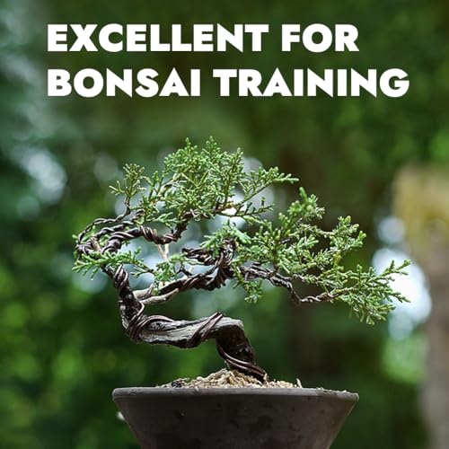 Tenn Well 12 Gauge Aluminum Wire, 100 Feet 2mm Bendable Craft Wire for Bonsai Training, Floral Making, Sculpting, Armature, Jewelry Making (Bronze) - color: Bronze