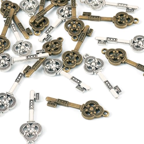 Craftdady Tibetan Style Antique Silver Alloy Pendants Cute Metal Dangle Charms Vintage Animal Pendants Hanging Charms for DIY Craft Earring Bracelet Necklace Jewelry Making Supplies - color: Antique Bronze & Antique Silver, Keys