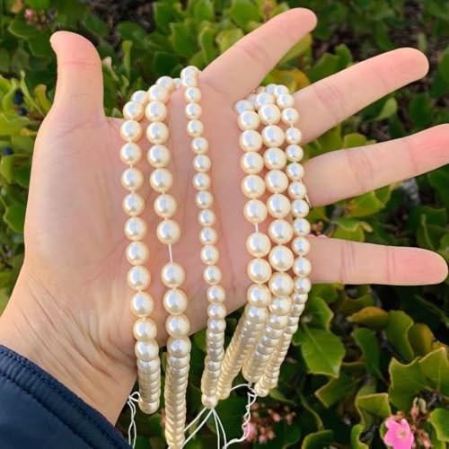 48pcs Adabele AAA Grade 8mm Natural Shell Pearl Loose Round Beads Freshwater Mother of Pearl Nacre 15 inch (Cream White) for DIY Craft Jewelry Making SP8-2 - color: Cream white/Warm white, size: 8mm (48pcs/1 Strand)