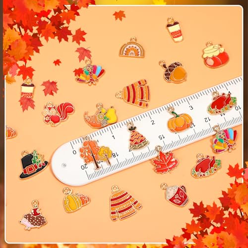 MARFOREVER 40Pcs/20 Pairs Fall Charms, Thanksgiving Charm for Jewelry Making, Autumn Pumpkin Maple Leaf Turkey Enamel Pendants for Bracelet Necklace Earrings Making Accessories - style: Fall