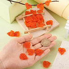 Crafans 100Pcs Frosted Acrylic Leaf Charms 24x22.5x3mm Transparent Plant Pendants Clear Autumn Maple Leaves Beads Charms for Jewelry Making (Orange Red) - color: Orange Red