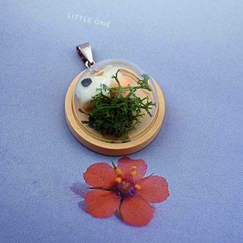 10 Wooden Base Glass Dome Pendants with Hollow Glass Cabochons Charms (25mm Dome, Wood Color) - size: 25mm Dome Wood Color