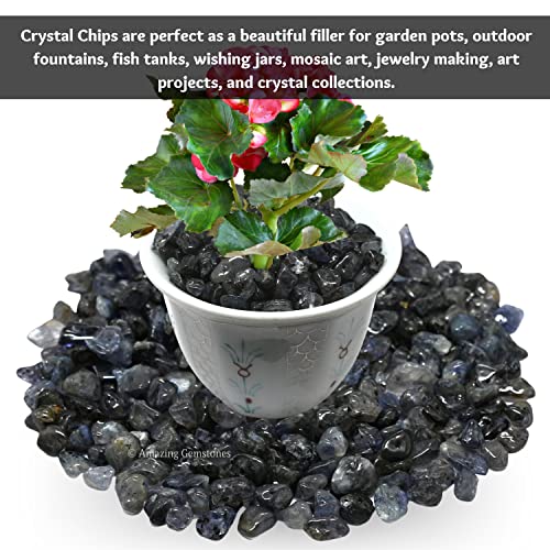 Iolite Pre Drilled Natural Crystals Crushed Chips Beads for Jewelry Making, DIY Handmade Healing Crystals (25 Inch Strand) - color: Iolite