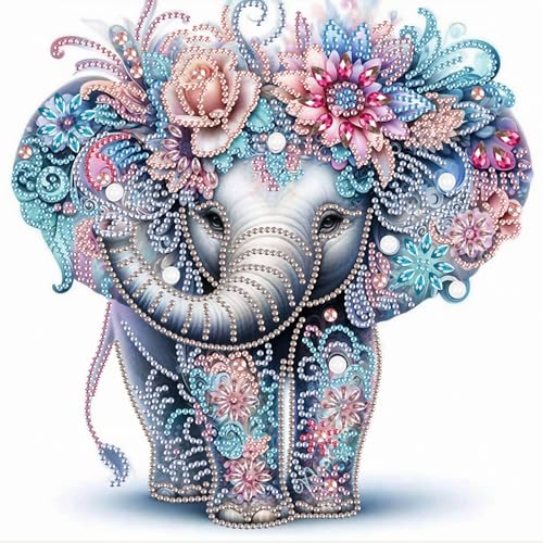 AiYuanzsh 5D Special Shape Diamond Art Kits for Beginners, Diamond Art Painting Kits for Adults, Crystal Rhinestones Diamond Art Painting for Home Wall Decoration Gift 12×12 inch, Elephant - color: Elephant