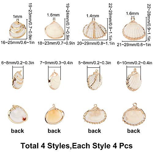 SUNNYCLUE 1 Box 16Pcs Seashell Charms Oval Ocean Beach Spiral Connectors Pendant Conch Shells Charms with Plated Golden Loop Bail for Jewelry Making DIY Necklace Bracelet Supplies - color: 1 Box 16Pcs Seashell Charms