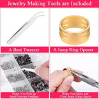 Cludoo Earring Making Kit - 2393 Pcs Hypoallergenic Earring Hooks, Posts, Backs, Studs & Tools for Jewelry DIY Making & Repair