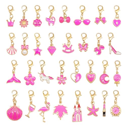 60PCS Enamel Charms Set with Golden Lobster Clasp, Assorted 30 Styles Animals Fruit Moon Star Clip-on Charm Pendants for Jewelry Making and Keychain Purse Decoration Crafts - color: Rosered