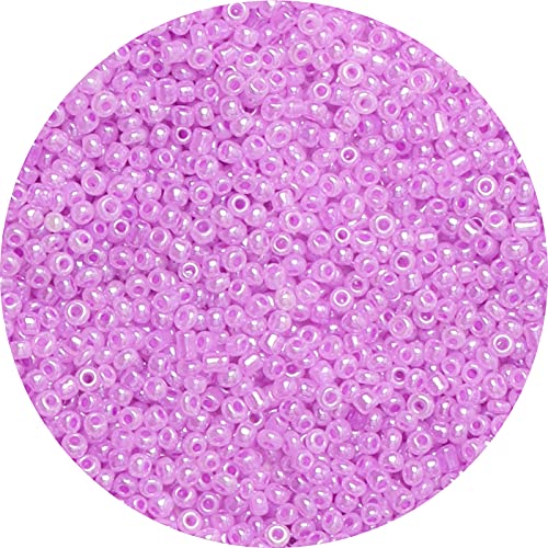 2000pcs Light Purple Glass Seed Beads Bulk,4mm 6/0 Seed Pony Beads for Bracelets,Necklace,Jewelry Making -Waist Spacer Bead for DIY Craft Projects - color: Light Purple, size: 4mm