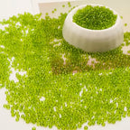 Light Green Glass Seed Beads 5000 Pcs, 3mm Small Craft Pony Beads Bulk for Bracelets, DIY Necklace Ring Waist Chain - color: Light Green