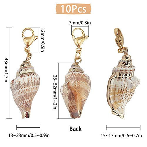 SUNNYCLUE 10Pcs Seashell Charms Oval Ocean Beach Spiral Natural Cowrie Conch Shells Large Charm Pendants with Lobster Claw Clasps for Jewelry Making DIY Necklace Bracelet Earring Supplies Accessories - color: 10Pcs Lobster Clasps Seashell Charms