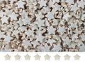 Turquoise Star Beads Bulk for Jewelry Making 300pcs 8 * 12mm White Natural Stone Space Beads for Hair,Garland Keychain, Lanyard, DIY Handmade Craft,Necklace, Bracelet Supplies - color: White Star