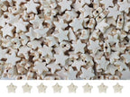 Turquoise Star Beads Bulk for Jewelry Making 300pcs 8 * 12mm White Natural Stone Space Beads for Hair,Garland Keychain, Lanyard, DIY Handmade Craft,Necklace, Bracelet Supplies - color: White Star
