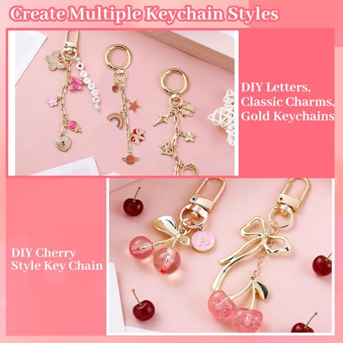 Wurosi 680 Pcs Keychain Making Kits, Pink DIY Bag Charm Kit, 78.74 Inch Chains, Key Chain Hooks, Jump Rings, Lobster Clasps, 225 Charms & Letter, Tools, Great for a Custom Gift, Party, or Family Activ - color: 680PCS Keychain Making Kit