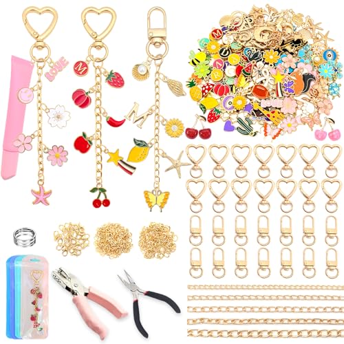 526Pcs Charms Lip Gloss Keychain Making Kit, DIY Keychain Supplies with 200 Charms, 28 Clasps, Jump Rings, Chain, Jewelry Plier, Hole Punch, Bag Charm Kit, Jewelry Making Kit for Crafting Keychains - color: Gold-526Pcs Kit