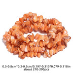 Chip Shells, 260pcs 5-8mm Irregular Beads with Holes, Orange Shell & Carnelian Chip Beads for Jewelry Making - color: Orange