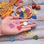 Crafans 50Pcs Frosted Acrylic Leaf Charms Spring Autumn Leaf Pendants Maple Leaves Beads Plant Petal Charms for Jewelry Making (Random Color) - color: Random Color