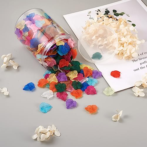 Crafans 360Pcs Acrylic Maple Leaf Pendants 12 Colors Transparent Frosted Leaf Charms Plant Tree Leaves Beads Charms for Autumn Crafts Jewelry Making - color: 12 Colors