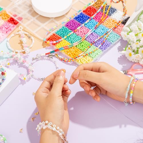 Goldwise Friendship Bracelet Kit, 16000 pcs with Seed Beads (2/3/4mm), Clay Beads, 7 Styles Letter Beads (A-Z), Variety of Charms, DIY Jewelry Making Crafts - size: 6 BOXES