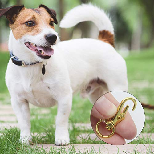 Swivel Clasps Lanyard Snap Hook,cnomg Metal Swivel Lanyard Snap Hook Lobster Claw Clasp (Golden) - color: Golden, size: 1.2 inches