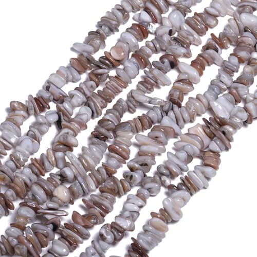 Chip Shell, 260pcs 5-8mm Irregular Shell Beads with Holes, Light Gray Shell & Labradorite Like Chip Beads for Jewelry Making - color: Light Gray