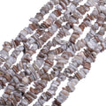 Chip Shell, 260pcs 5-8mm Irregular Shell Beads with Holes, Light Gray Shell & Labradorite Like Chip Beads for Jewelry Making - color: Light Gray