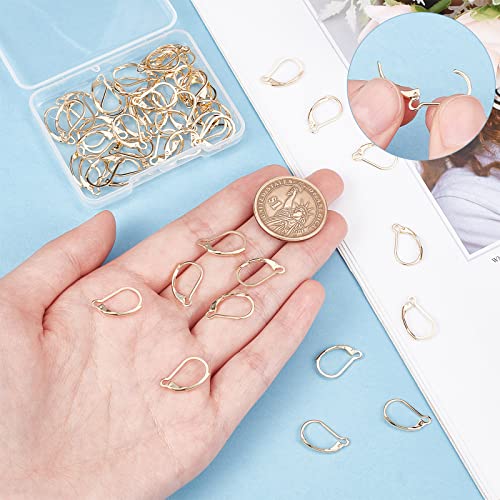 SUNNYCLUE 1 Box 60Pcs Real 24K Gold Plated Leverback Earring Findings French Earring Hooks 16.5x10mm Leverbacks Lever Back Earwires for Jewellery Making Women Adults DIY Dangle Earrings Supplies - color: 60pcs Real 24k Gold Plated Stainless Steel Leverbac