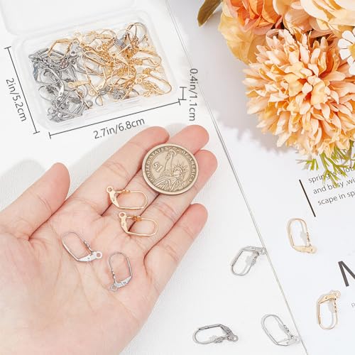 Beebeecraft 1 Box 48Pcs Leverback Earring Findings Stainless Steel 2 Colors French Earring Hooks Flower Pattern Dangle Ear Wire Findings for Jewellery Making - color: Small Flower Leverback Earring